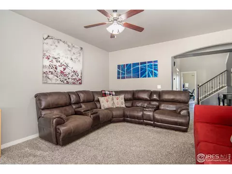 508 Dakota Way, Windsor, CO 80550 photo 12