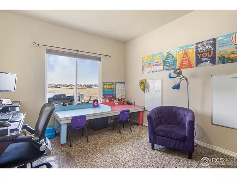 508 Dakota Way, Windsor, CO 80550 photo 14