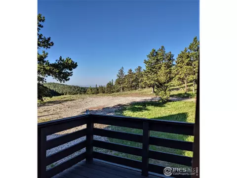 521 Raspberry Ln, Livermore, CO 80536 photo 17