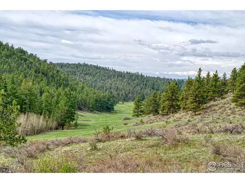 521 Raspberry Ln, Livermore, CO 80536 photo 4