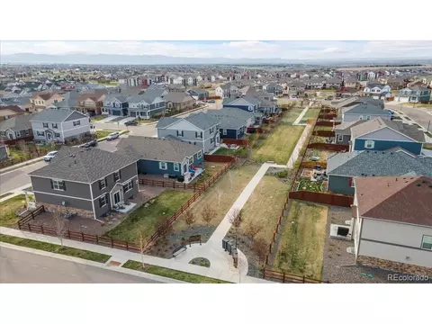 2001 Sweet Pea Dr, Windsor, CO 80550 photo 32