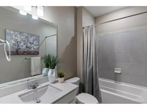 2001 Sweet Pea Dr, Windsor, CO 80550 photo 26
