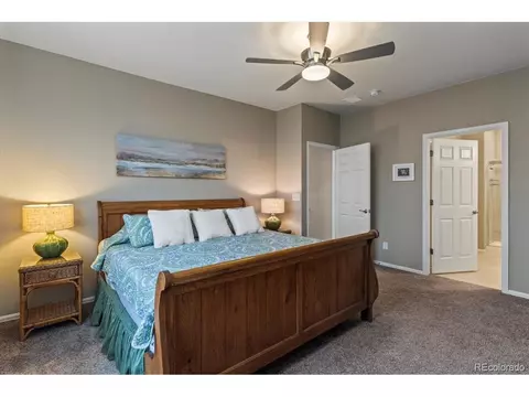 2001 Sweet Pea Dr, Windsor, CO 80550 photo 19