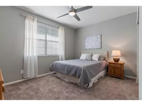 2001 Sweet Pea Dr, Windsor, CO 80550 photo 22