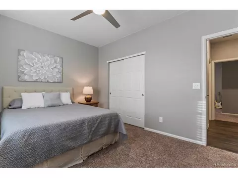2001 Sweet Pea Dr, Windsor, CO 80550 photo 23