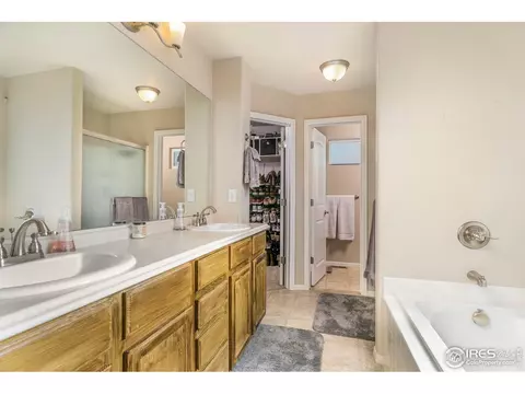 853 Sunlight Peak Dr, Severance, CO 80550 photo 13