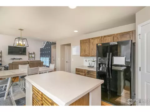 853 Sunlight Peak Dr, Severance, CO 80550 photo 17