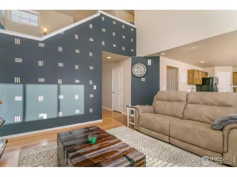 853 Sunlight Peak Dr, Severance, CO 80550 photo 22