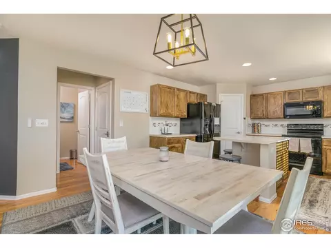 853 Sunlight Peak Dr, Severance, CO 80550 photo 19