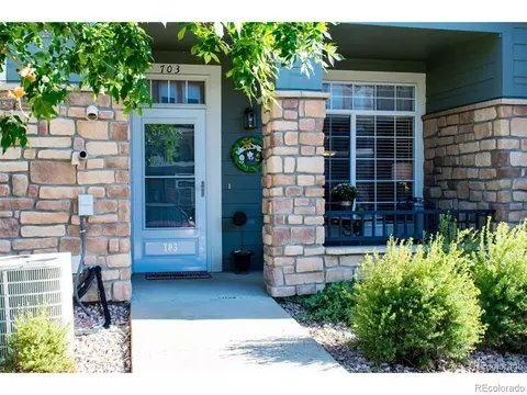 457 Black Feather Loop #703, Castle Rock, CO 80104