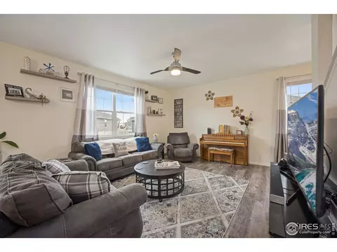 5437 Snowberry Ave, Longmont, CO 80504 photo 11