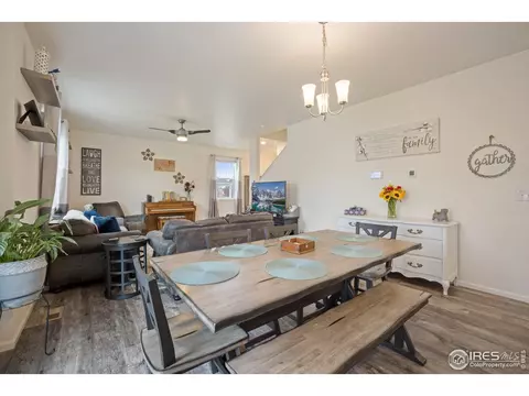 5437 Snowberry Ave, Longmont, CO 80504 photo 8