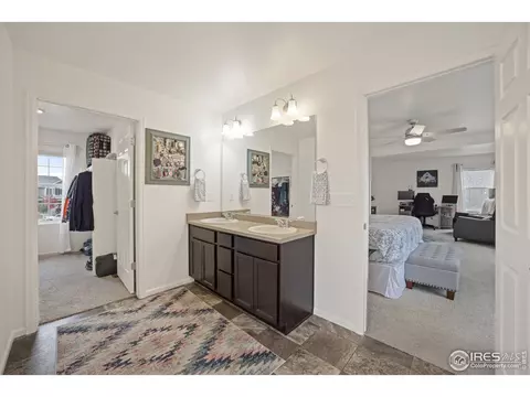 5437 Snowberry Ave, Longmont, CO 80504 photo 16