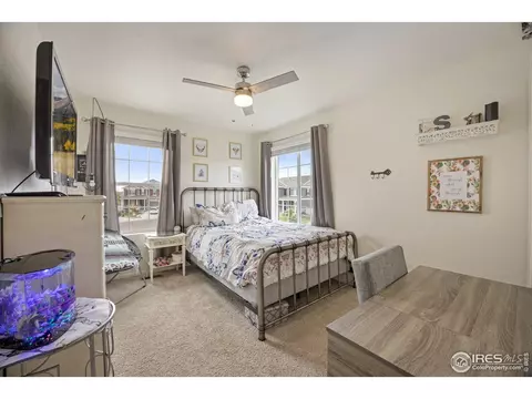 5437 Snowberry Ave, Longmont, CO 80504 photo 18
