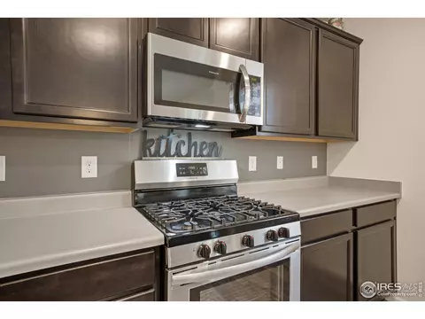 5437 Snowberry Ave, Longmont, CO 80504 photo 6