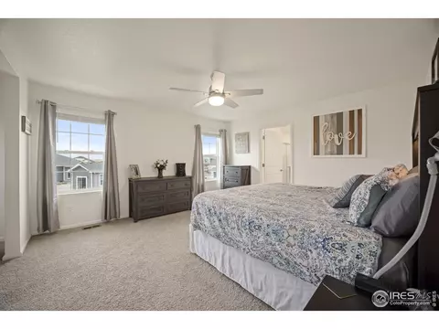 5437 Snowberry Ave, Longmont, CO 80504 photo 14