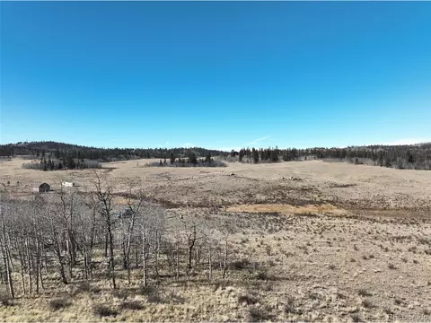 99 Sora Ct, Como, CO 80432 photo 11