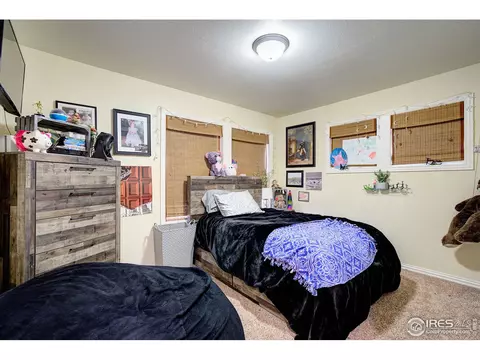 2109 Outer Banks Ct, Windsor, CO 80550 photo 26