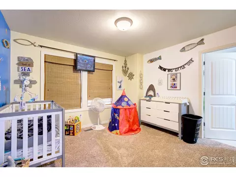 2109 Outer Banks Ct, Windsor, CO 80550 photo 28