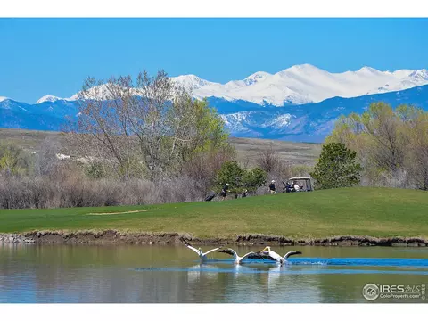 2109 Outer Banks Ct, Windsor, CO 80550 photo 39
