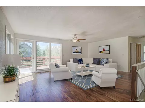 347 Deer Path Rd, Dillon, CO 80435 photo 1