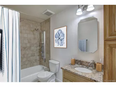 347 Deer Path Rd, Dillon, CO 80435 photo 24