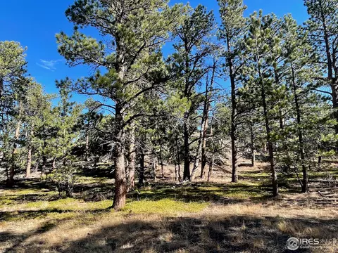 19000 S St Vrain Dr, Lyons, CO 80540 photo 12