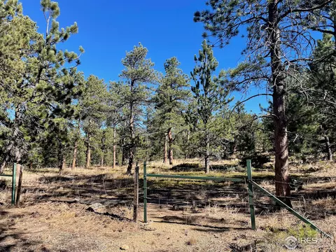 19000 S St Vrain Dr, Lyons, CO 80540 photo 6