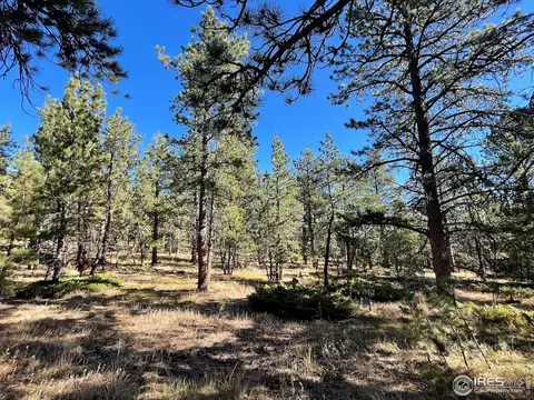 19000 S St Vrain Dr, Lyons, CO 80540 photo 15
