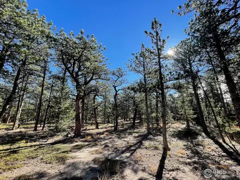 19000 S St Vrain Dr, Lyons, CO 80540 photo 13