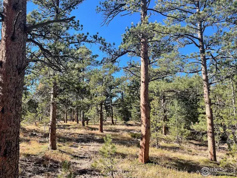 19000 S St Vrain Dr, Lyons, CO 80540 photo 10