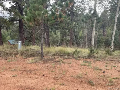 37 Summit Lake Dr, Divide, CO 80814 photo 4