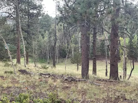 37 Summit Lake Dr, Divide, CO 80814 photo 11