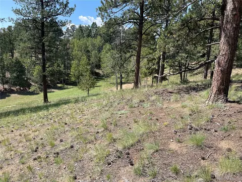 37 Summit Lake Dr, Divide, CO 80814 photo 6