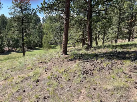 37 Summit Lake Dr, Divide, CO 80814 photo 5