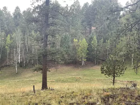 37 Summit Lake Dr, Divide, CO 80814 photo 9