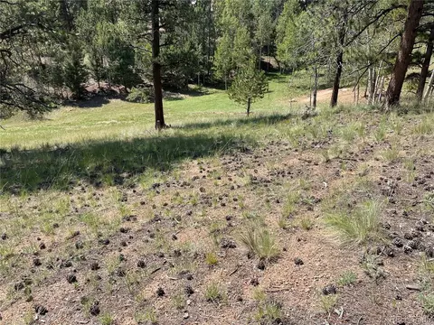 37 Summit Lake Dr, Divide, CO 80814 photo 7