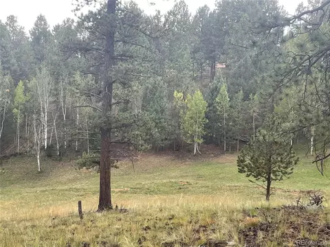 37 Summit Lake Dr, Divide, CO 80814 photo 3