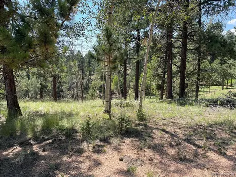 37 Summit Lake Dr, Divide, CO 80814 photo 2
