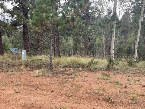 37 Summit Lake Dr, Divide, CO 80814 photo 10