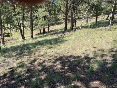 37 Summit Lake Dr, Divide, CO 80814 photo 8