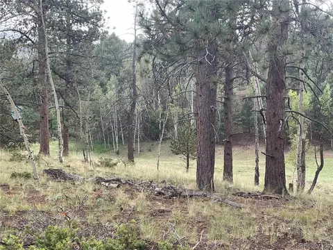 37 Summit Lake Dr, Divide, CO 80814 photo 1