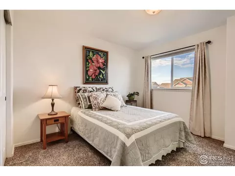 209 Castle Dr, Severance, CO 80550 photo 23