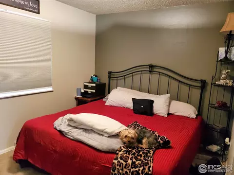 413 Colorado Ave, Berthoud, CO 80513 photo 10