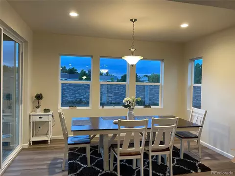 6877 E 119th Pl, Thornton, CO 80233 photo 10