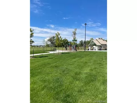 6877 E 119th Pl, Thornton, CO 80233 photo 34