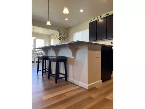 6877 E 119th Pl, Thornton, CO 80233 photo 5