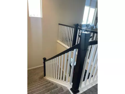 6877 E 119th Pl, Thornton, CO 80233 photo 17