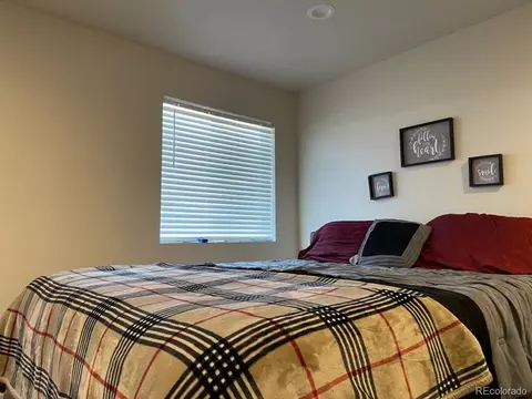 6877 E 119th Pl, Thornton, CO 80233 photo 29