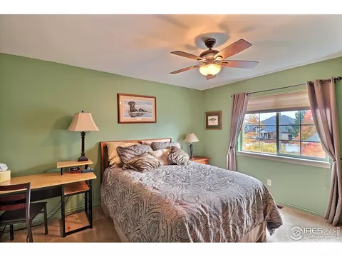 230 Mallard Ct, Windsor, CO 80550 photo 29